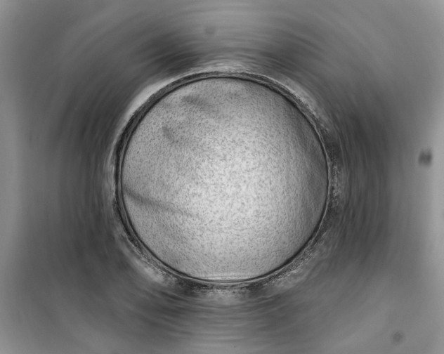 X0000100961078200807081236