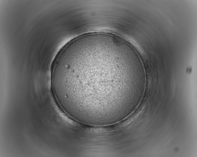 X0000100961079200807081236