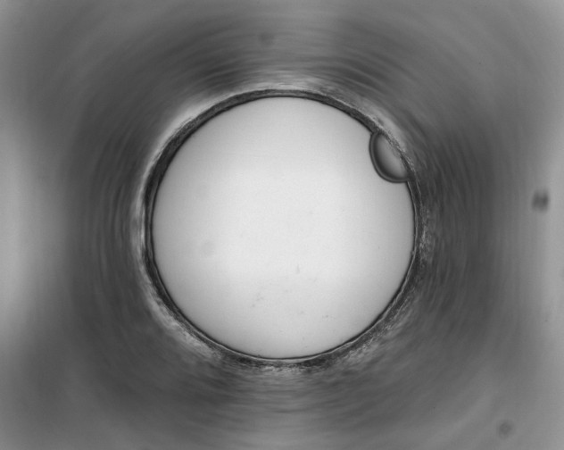 X0000100961080200807081236