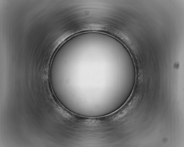 X0000100961081200807081236