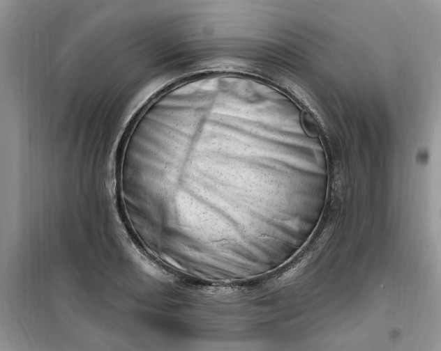 X0000100961082200807081236