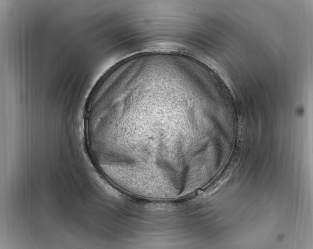X0000100961083200807081236