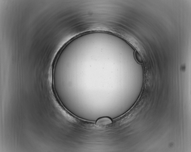 X0000100961084200807081236