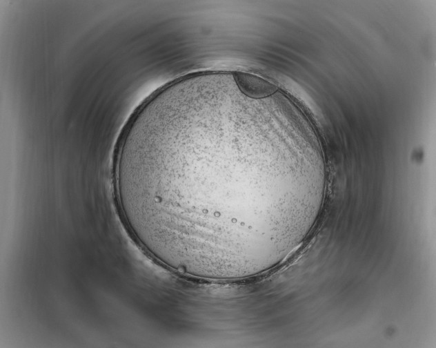 X0000100961087200807081236