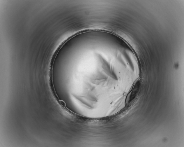 X0000100961093200807081236