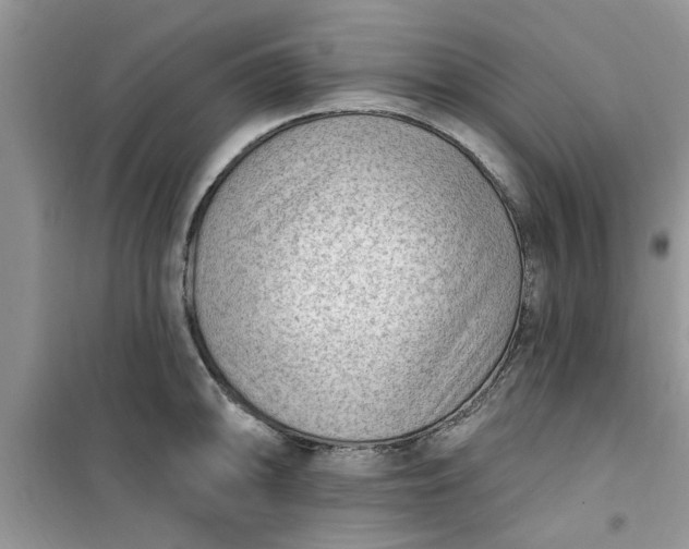 X0000100961094200807081236