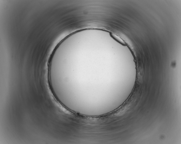 X0000100961096200807081236