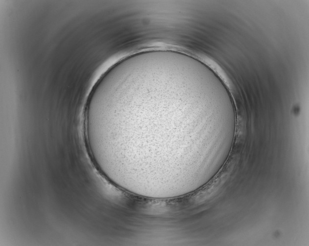 X0000100961098200807081236