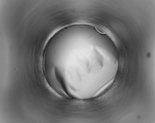 X0000100961100200807081236