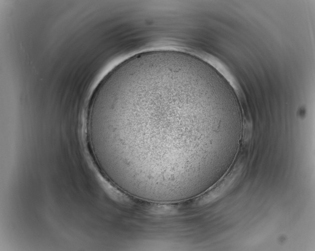 X0000100961101200807081236