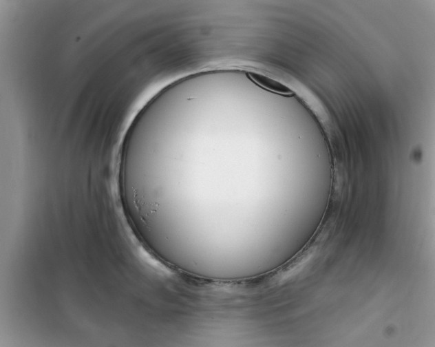 X0000100961102200807081236