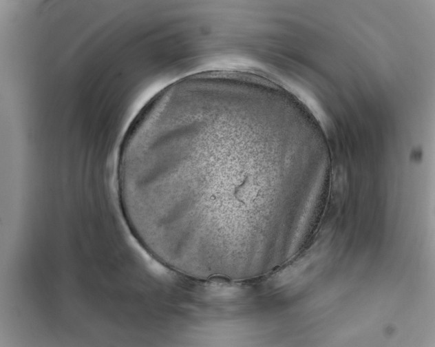 X0000100961103200807081236