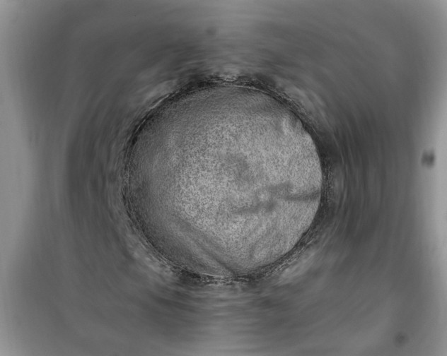 X0000100961105200807081235