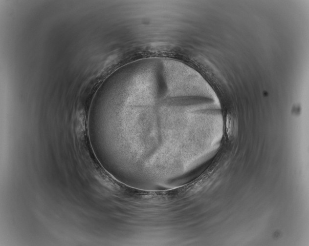 X0000100961107200807081235