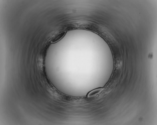 X0000100961108200807081235