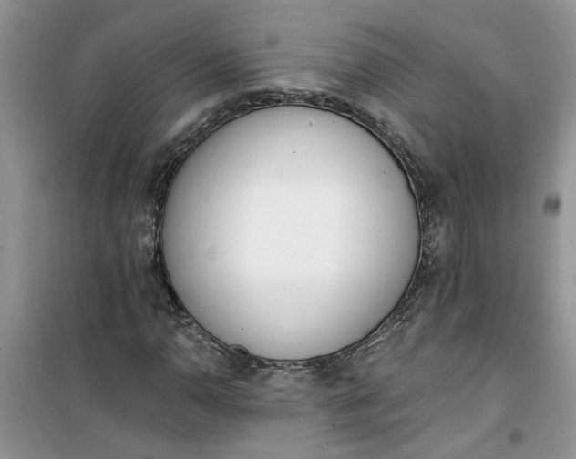 X0000100961110200807081235