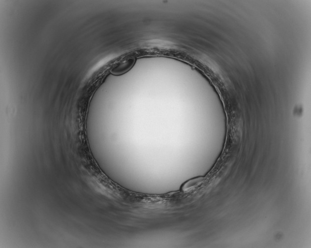 X0000100961112200807081235