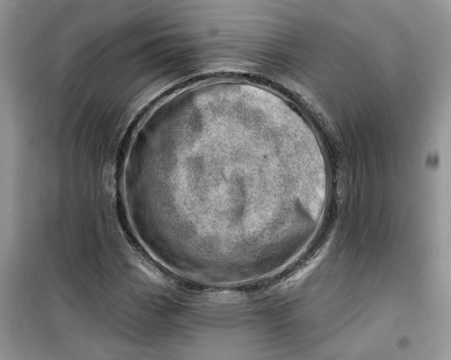 X0000100961113200807081235