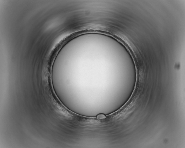 X0000100961115200807081235