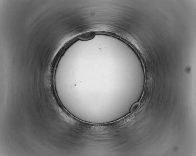 X0000100961116200807081235