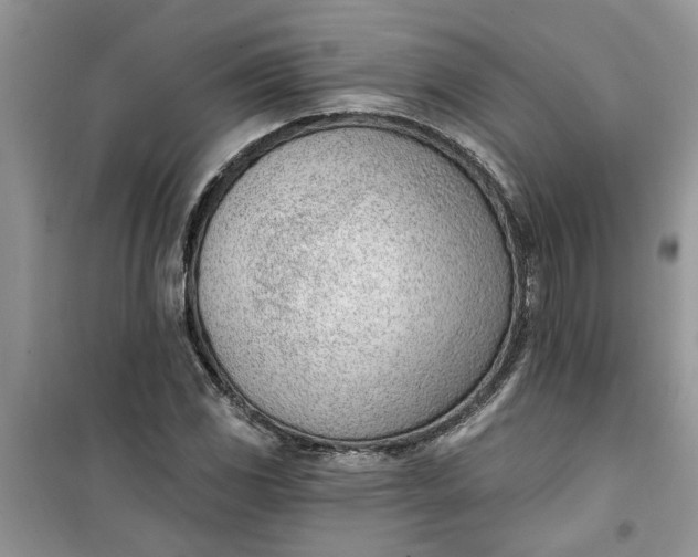 X0000100961117200807081235