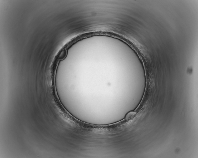 X0000100961118200807081235