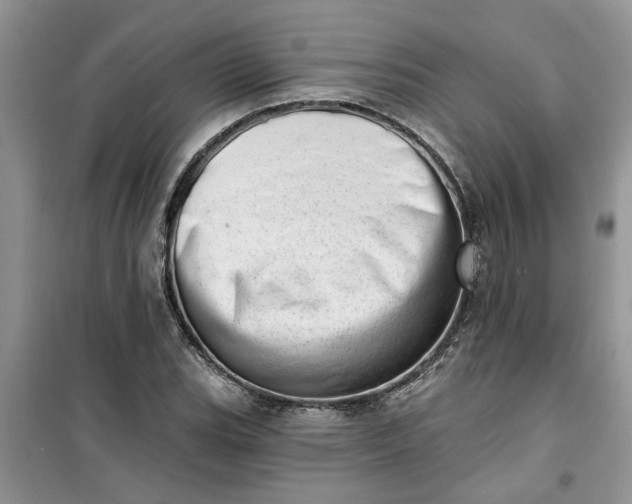 X0000100961119200807081235