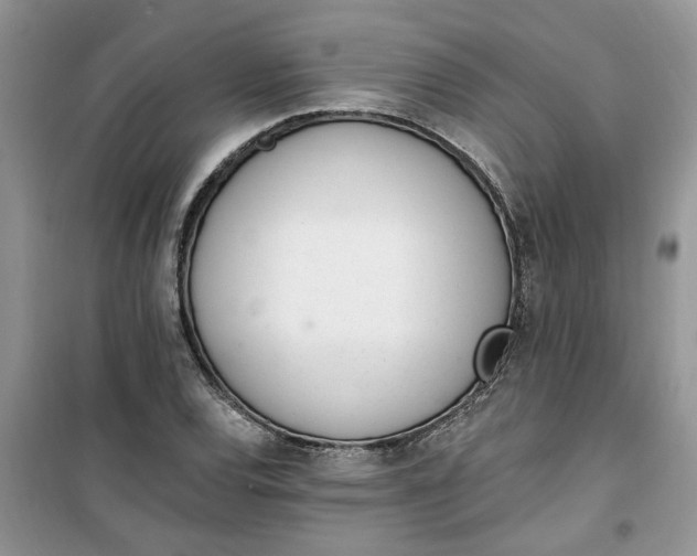 X0000100961120200807081235