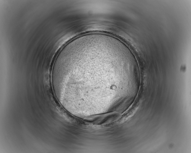 X0000100961121200807081235