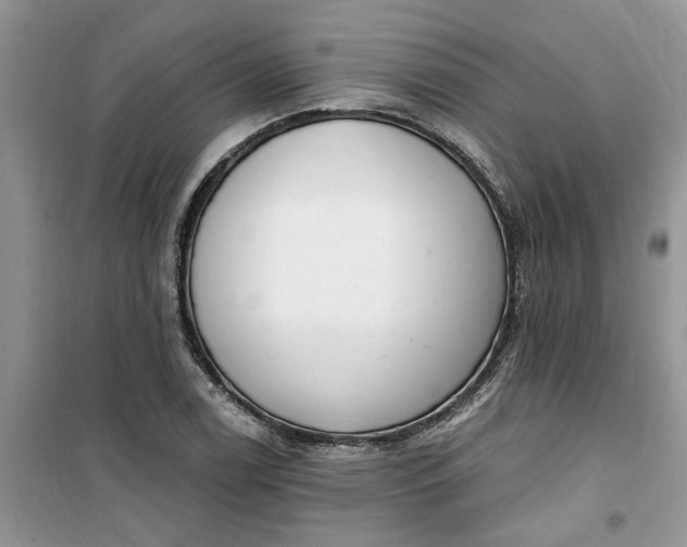 X0000100961122200807081235