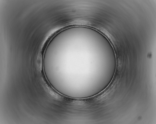 X0000100961123200807081235