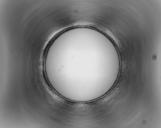 X0000100961124200807081235