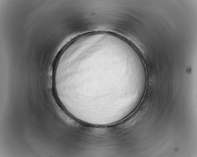 X0000100961126200807081235