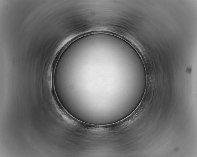 X0000100961127200807081235