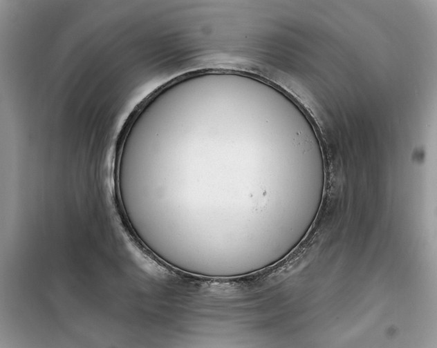 X0000100961128200807081235