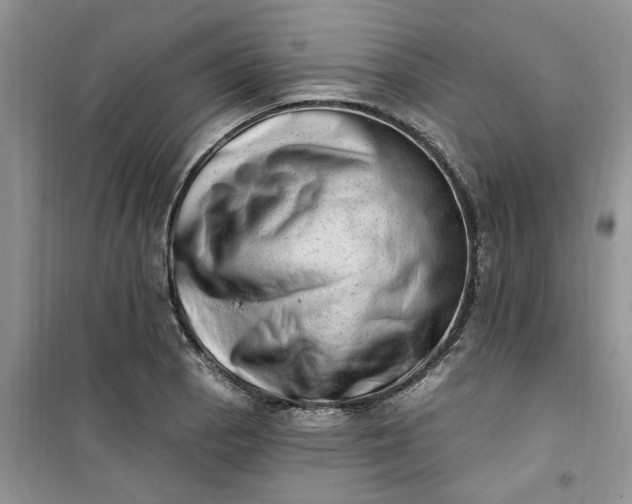 X0000100961129200807081235