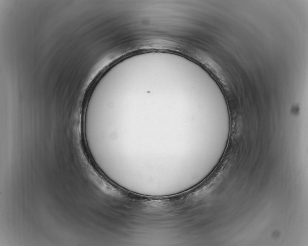 X0000100961130200807081235