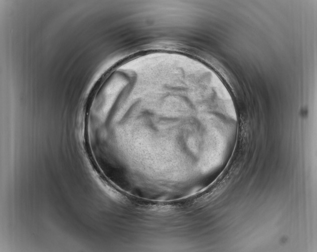 X0000100961131200807081235