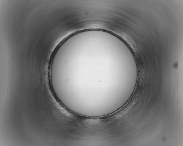 X0000100961134200807081235