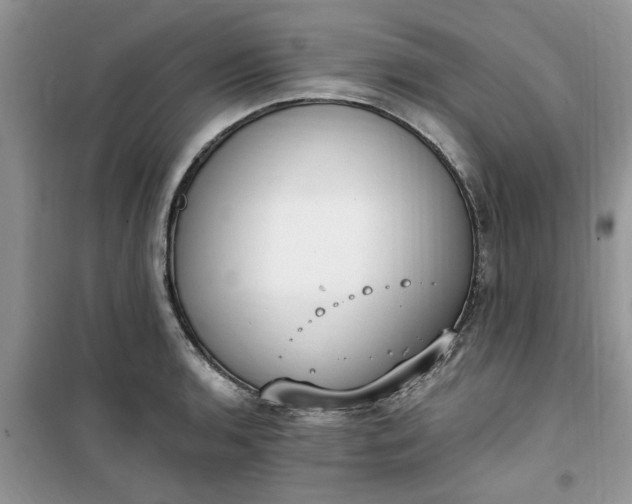 X0000100961136200807081235