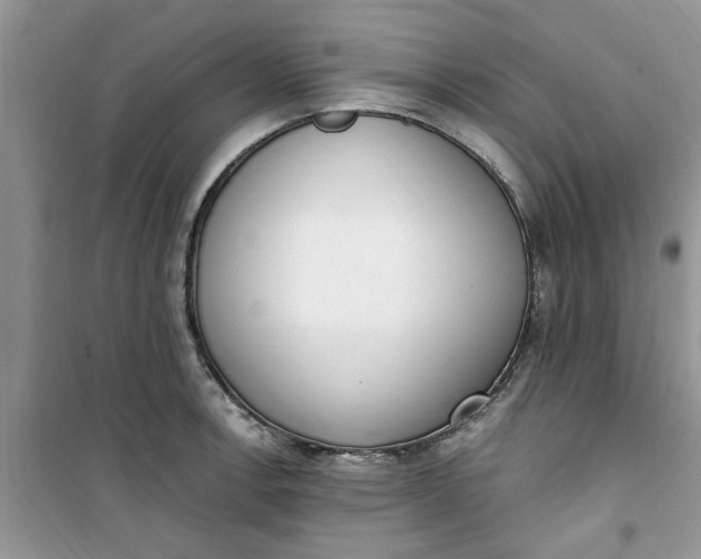 X0000100961138200807081235