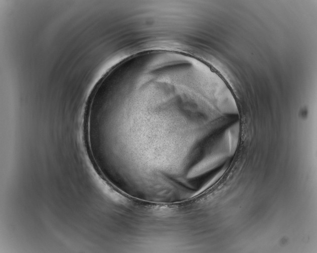 X0000100961139200807081235
