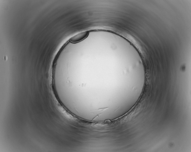 X0000100961140200807081235