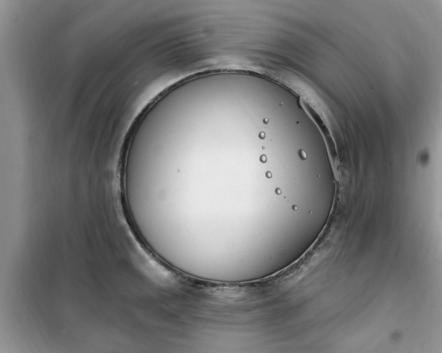 X0000100961141200807081235