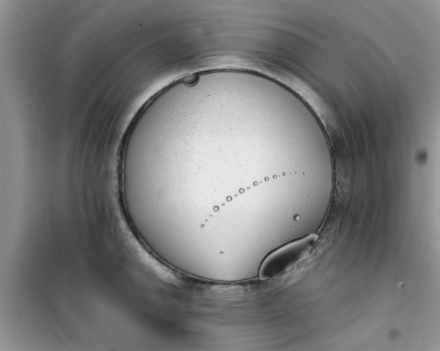 X0000100961142200807081235