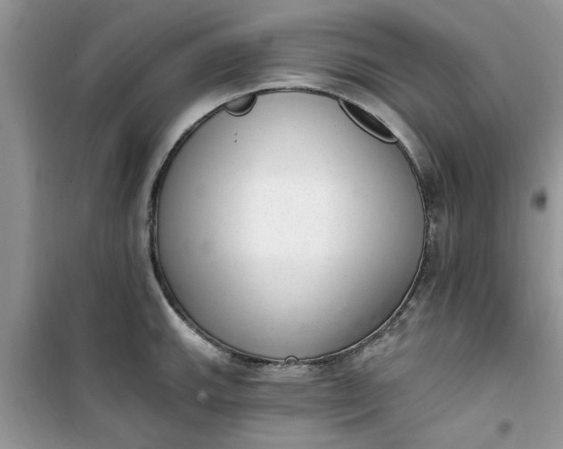 X0000100961143200807081235