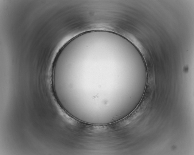 X0000100961144200807081235