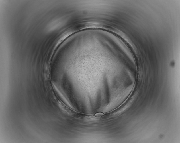 X0000100961145200807081235