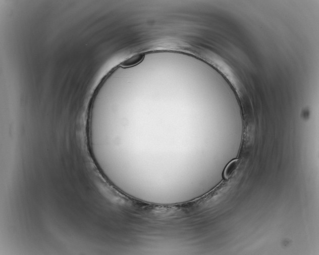 X0000100961146200807081235