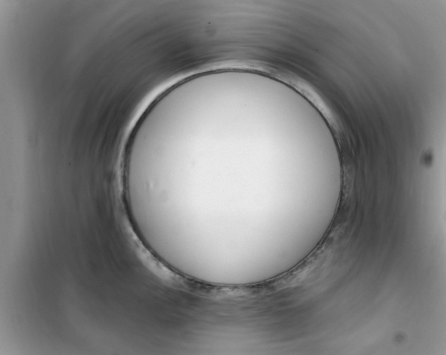 X0000100961148200807081236
